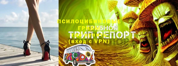 не бодяженный Абаза