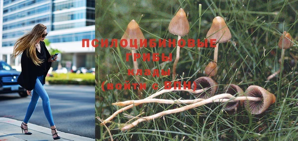бутират Алексеевка