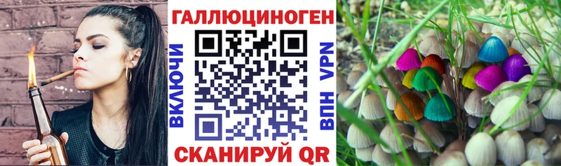 цены   Красавино  дарк нет телеграм  Псилоцибиновые грибы прущие грибы 